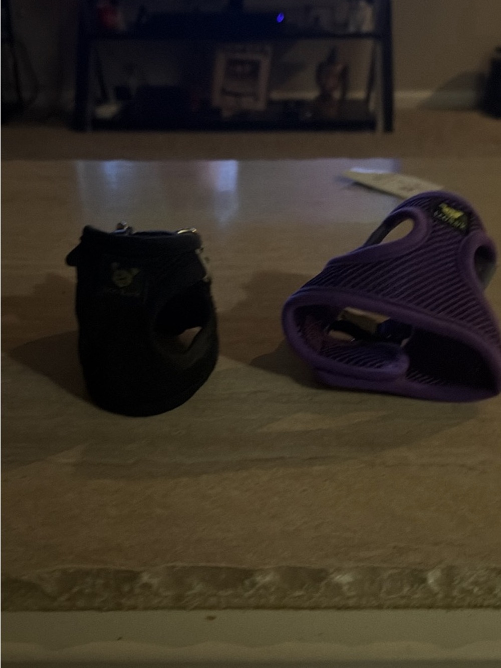 Adjustable Purple and Black Small Dog Harnesses - Secure Comfort